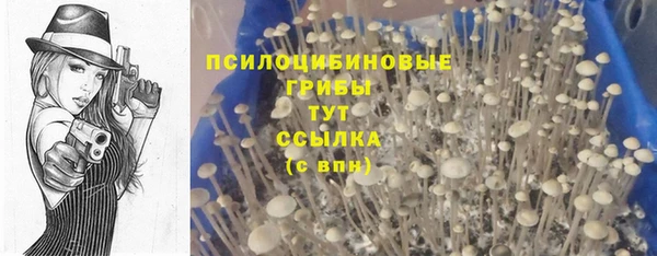 винт Надым